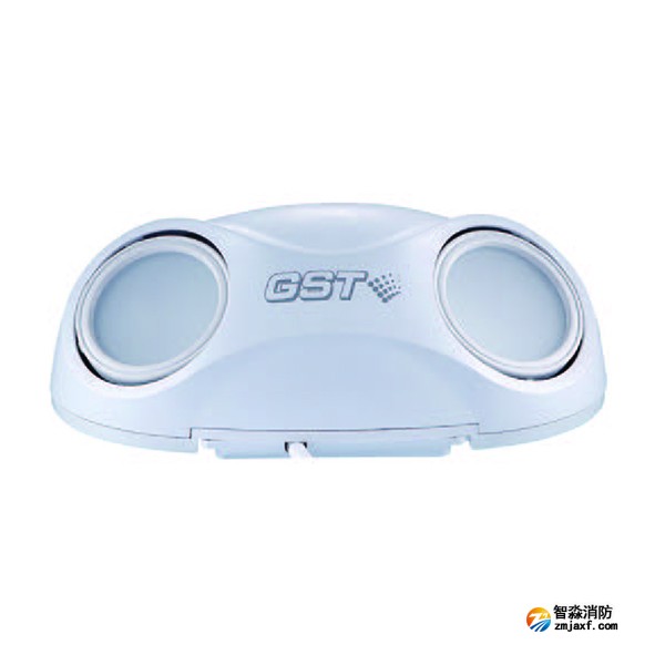 海灣HW-ZFJC-E3W-N660/E6W-N661集中電源集中控制型消防應急照明燈具