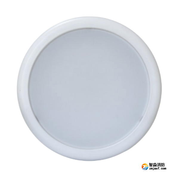 海灣HW-ZFJC-E9W-N657集中電源集中控制型消防應(yīng)急照明燈具