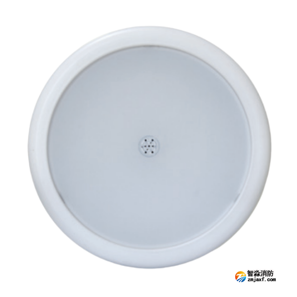 海灣HW-ZFJC-E18W-N655SG集電集控型消防應(yīng)急照明燈具